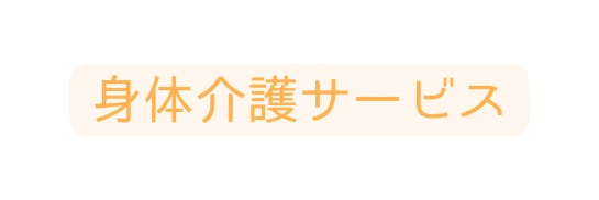 身体介護サービス